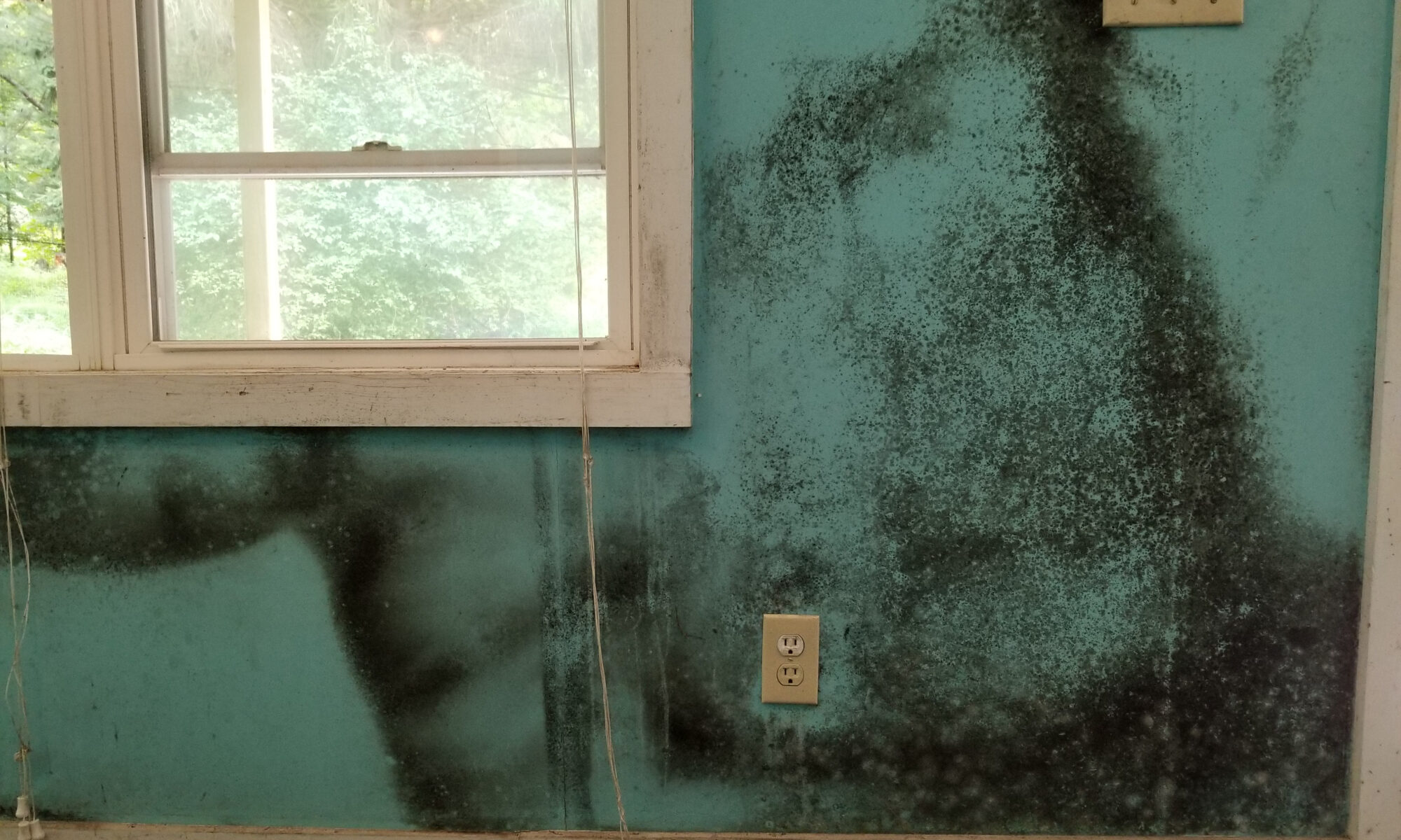 Mold,Damage,On,Wall,From,Roof,Leak