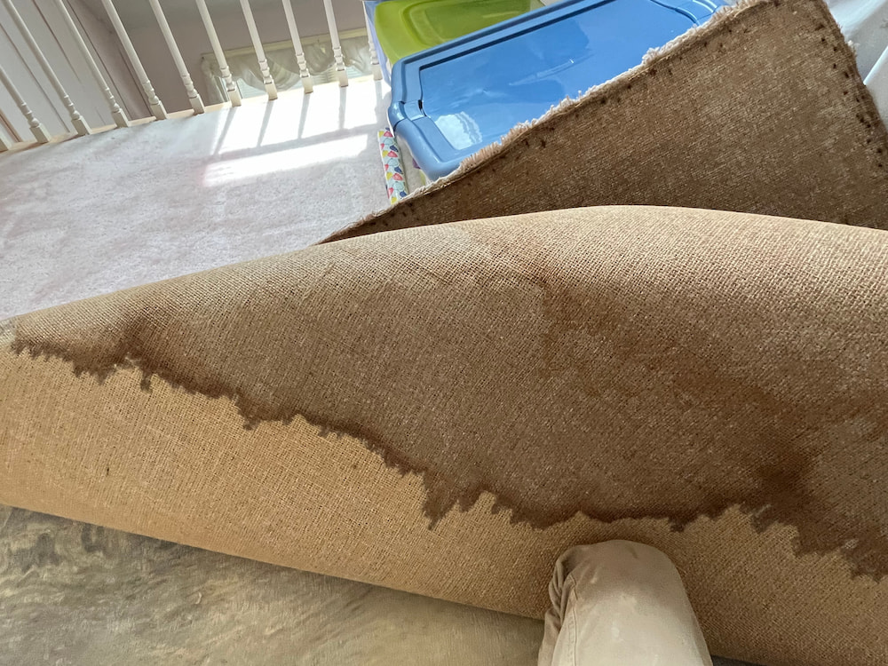 Carpet with signs of water damage